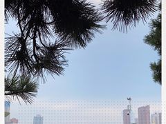 -栈桥景区