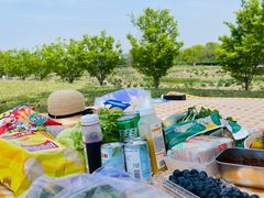 -上海佘山国家森林公园天马山园