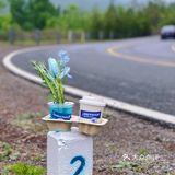 💙母亲节快乐💙 💛拿铁一杯 快乐起飞💛