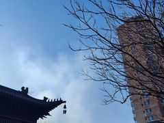 -护国法轮寺