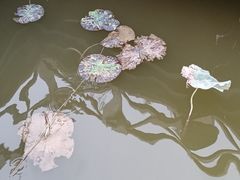 -野鸭湖国家湿地公园