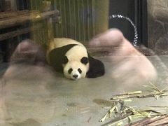 -蜀九香火锅(九眼桥店)