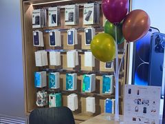 -苹果售后维修服务中心(东大直街总店)