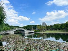 -院士公园
