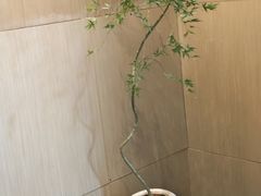 -梅花境(万科店)