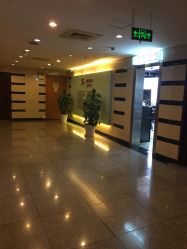 -Park Salon脏辫羽毛接发