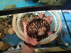 -渔公码头海货全海鲜自助(海滨旅游路店)
