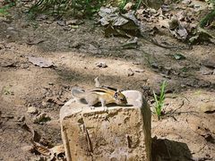 -北京张裕爱斐堡酒庄