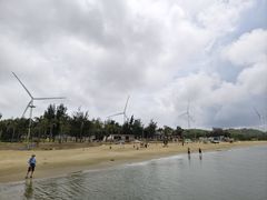 -汕尾风车岛