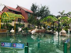 -灵玲国际马戏城