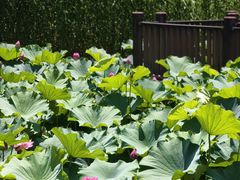 -苏州河梦清园环保主题公园