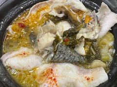 -陈老斯呼尔嗨吃烧烤(科巷店)
