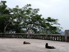 -鸿山公园
