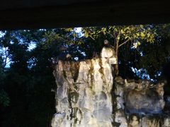 -清迈夜间动物园