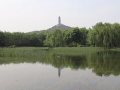 -北坞公园