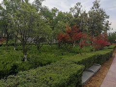 -西安汉城湖景区