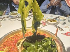 -二荆条·城市森林火锅旗舰店