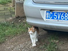 -西苑公园