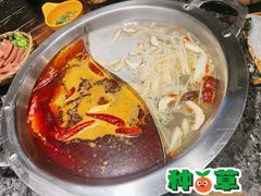 -欧阳小姐在成都(鼓楼店)