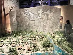 -上海崧泽遗址博物馆