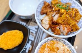 Mapo Tofu and Fried Chicken Rice Combo