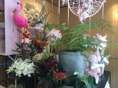 -蝶舍·MAISON PAPILLON