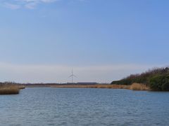 -东滩湿地公园观海楼餐厅