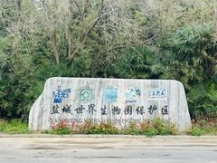 -盐城丹顶鹤湿地生态旅游区