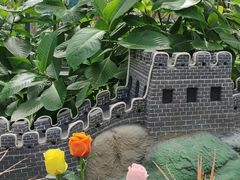 -南宫五洲植物乐园