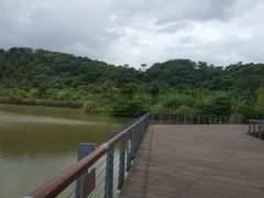 -飞凤山奥体公园