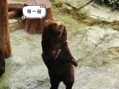 -深圳野生动物园