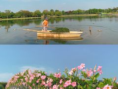 -上海辰山植物园