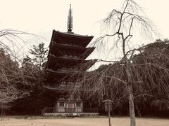 -醍醐寺