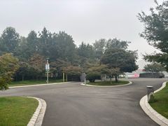 -青枫公园