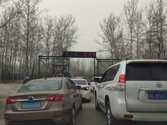 -秦皇岛野生动物园