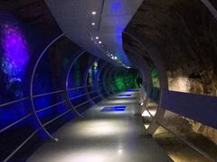 -中国西峡恐龙遗迹园