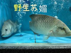 -欧记·龙城港(欣都龙城店)