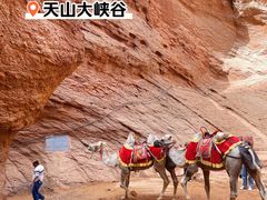 -天山神秘大峡谷