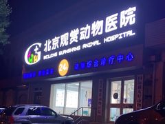 -北京观赏动物医院·24小时大型综合·猫专科·异宠专科