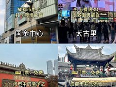 -成都九眼桥美居酒店