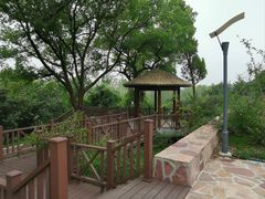 -上海市保健医疗中心