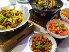 -峨嵋酒家 南北川菜 优选烤鸭(广渠路店)
