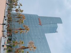 -金沙湖公园
