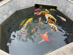 -西安市广仁寺