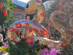 -越秀西湖花市(广州城市广场花卉店)