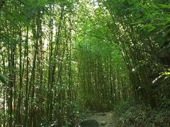 -井空里大峡谷