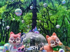 -上海共青森林公园