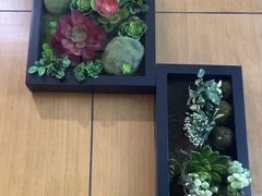 -素心素食(翠苑店)