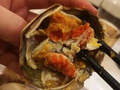 -紫阳富豪大酒店(惠南店)