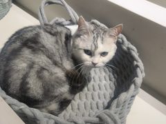 -怪兽屋·羊驼·猫咖·狗咖(俊华广场店)